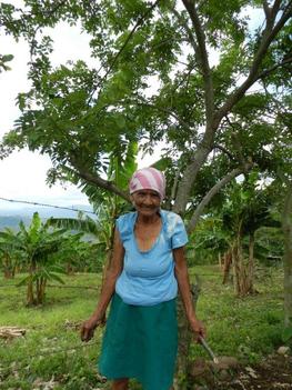 Nicaragua Vieille femme dans un champ agroforestier